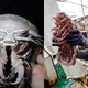 Imagen para el artículo titulado Investigadores encuentran en las profundidades del océano una gigantesca “cucaracha marina”